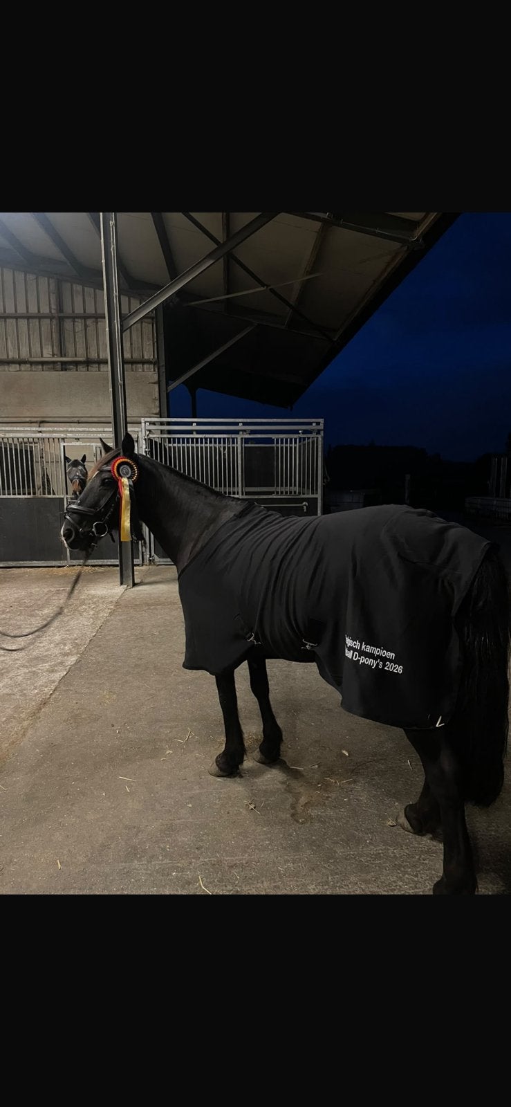 poney à vendre, Enlèvement, Comme neuf