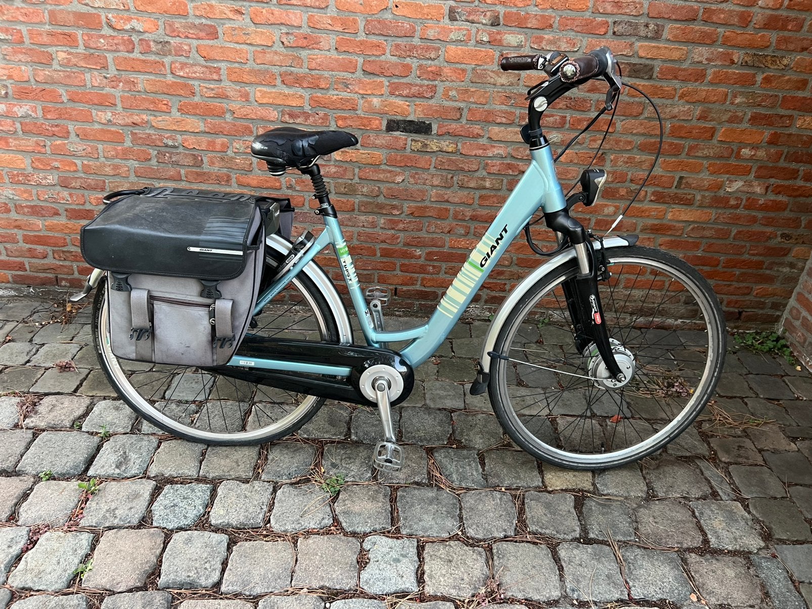 Giant elektrische fiets + 2 batterijen, Enlèvement, Comme neuf, Giant