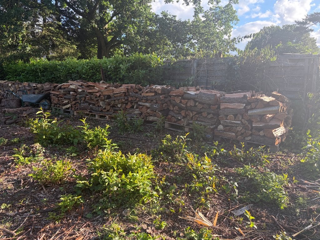 BOIS DE CHAUFFAGE À VENDRE, Enlèvement, Bûches