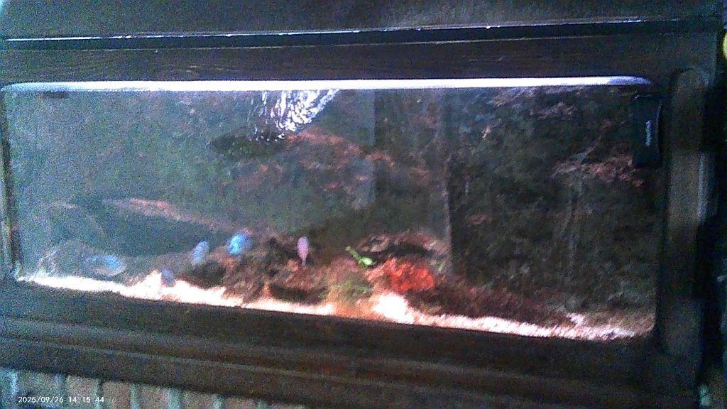 aquarium 240l 110cm, Divers, Enlèvement, Utilisé