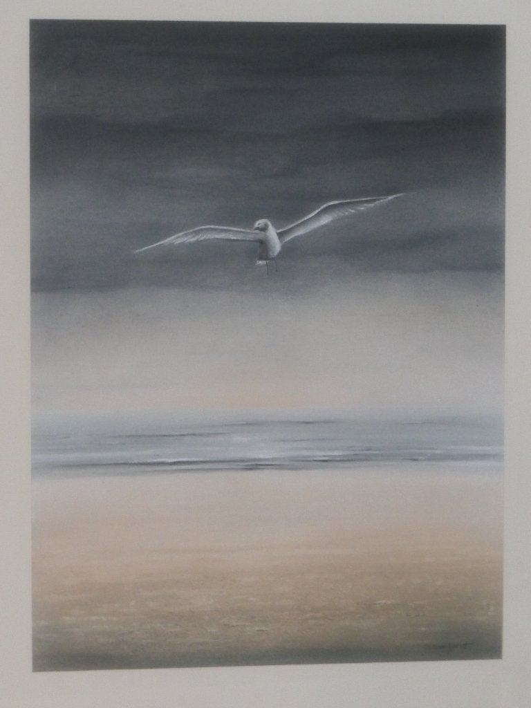 schilderij Renaert Bosschaert thema  : zeemeeuw, Antiquités & Art, Aquarelle, Enlèvement, Réaliste, Maritime / eau