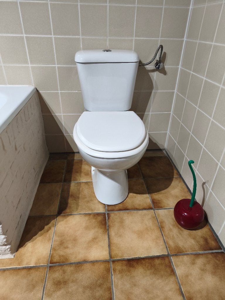 Toilette en bon état, Bricolage & Construction, Enlèvement, Utilisé, Pierre, Toilettes