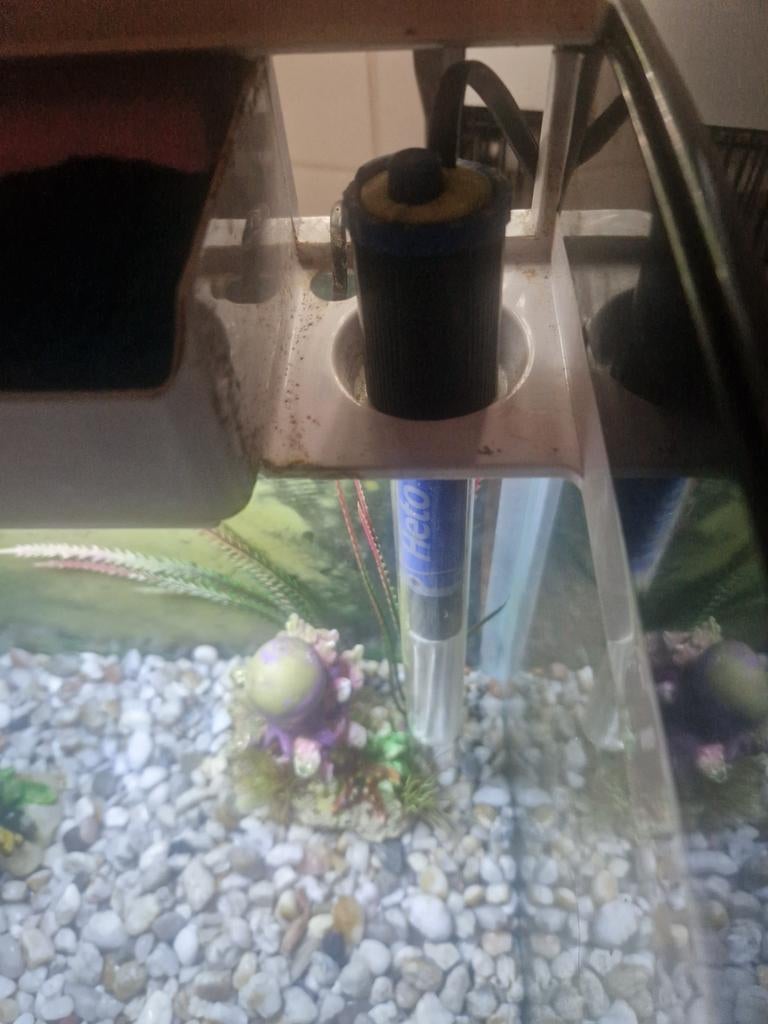 Mooie kleine aquarium met alles erbij, Enlèvement, Superfish