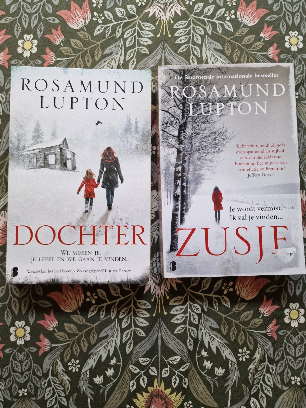 Rosamund Lupton boeken, Livres, Enlèvement ou Envoi, Utilisé