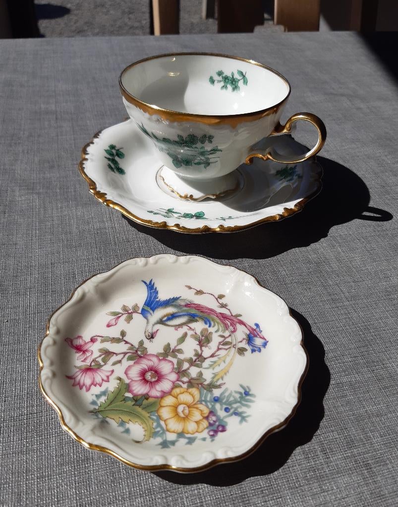 Rosenthal theekopje met schotel + schoteltje Paradijsvogel, Ophalen of Verzenden