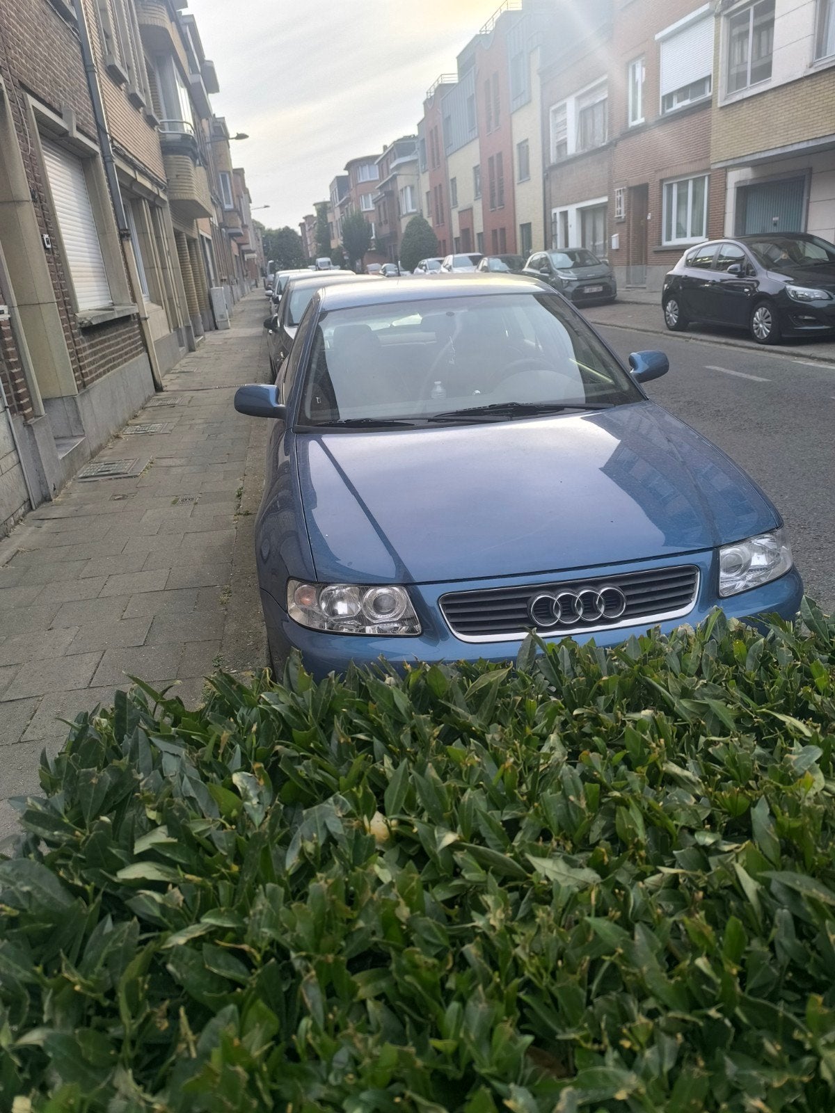 Audi A3 8l, Autos, Achat, Particulier, Essence, A3