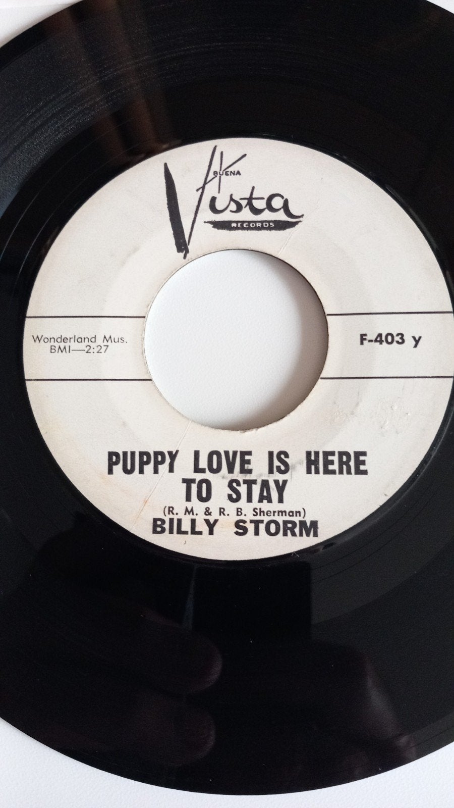 BILLY STORM. PUPPY LOVE IS HERE TO STAY. POPCORN US 45T, Enlèvement ou Envoi