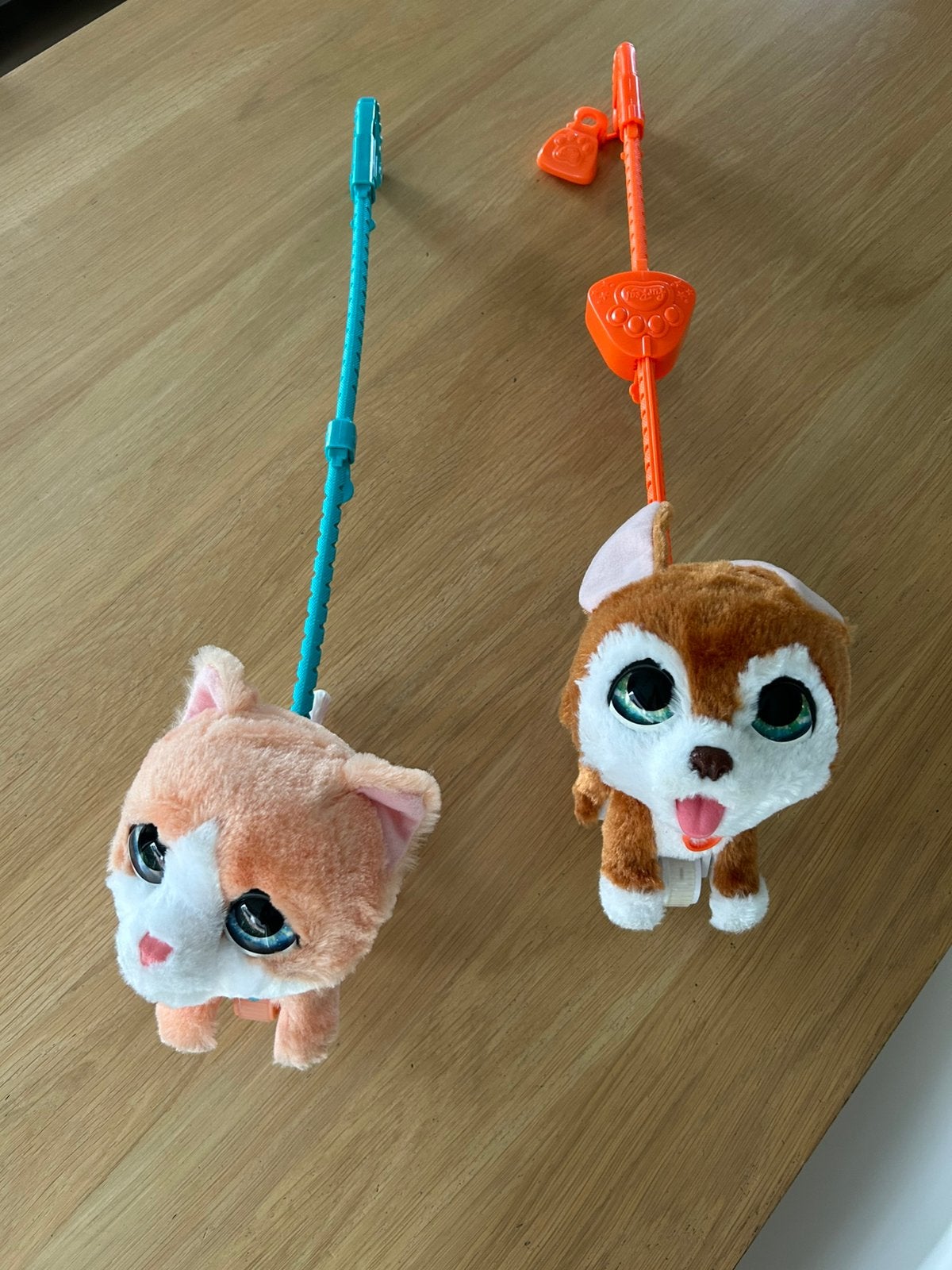 FurReal Friends (hond en kat), Enlèvement