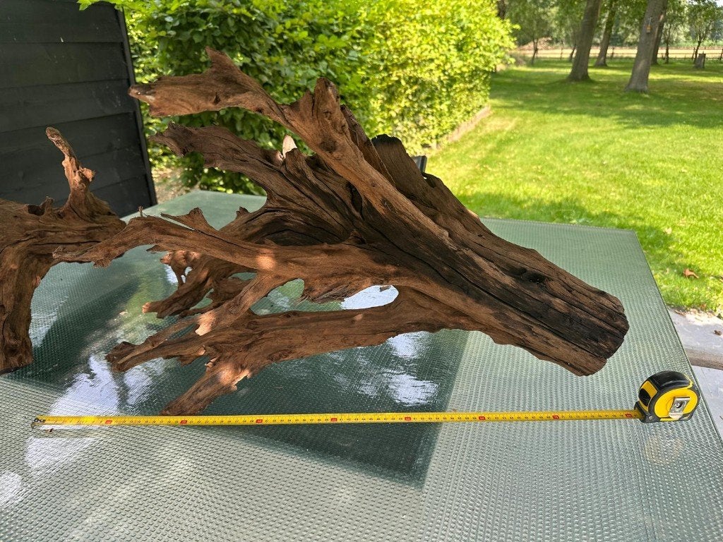 Kienhout (XL), Dieren en Toebehoren, Ophalen, Zo goed als nieuw, Plant(en), Steen of Hout
