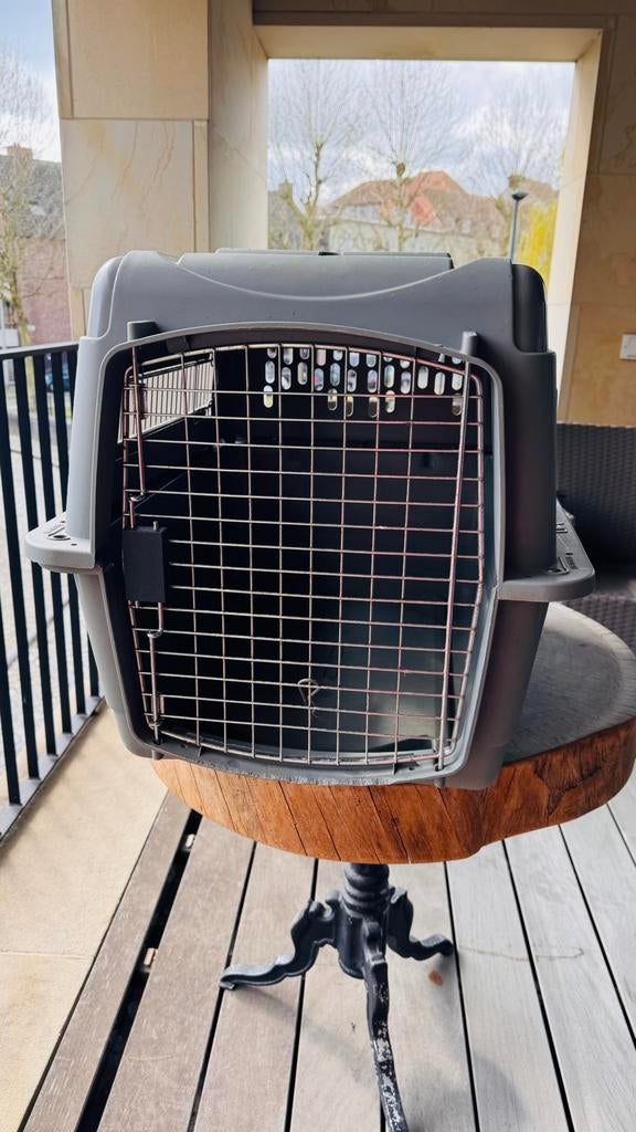 Vliegtuigbench voor kleine hond of kat, Dieren en Toebehoren, Ophalen of Verzenden, Gebruikt