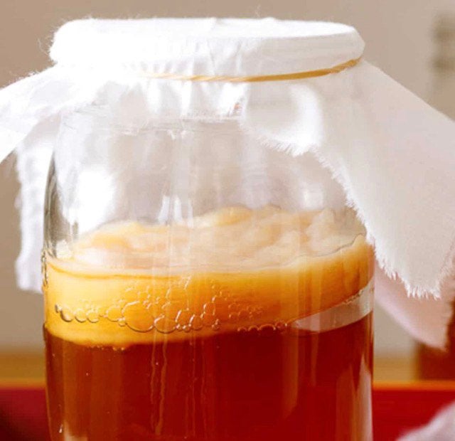 Gezonde Scoby om zelf kombucha te maken, Divers, Produits alimentaires, Enlèvement