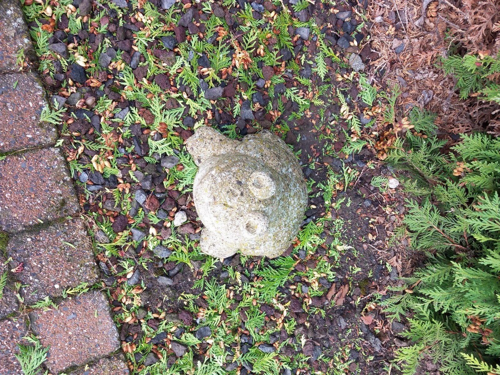 kikkertje en paddestoel, Tuin en Terras, Ophalen