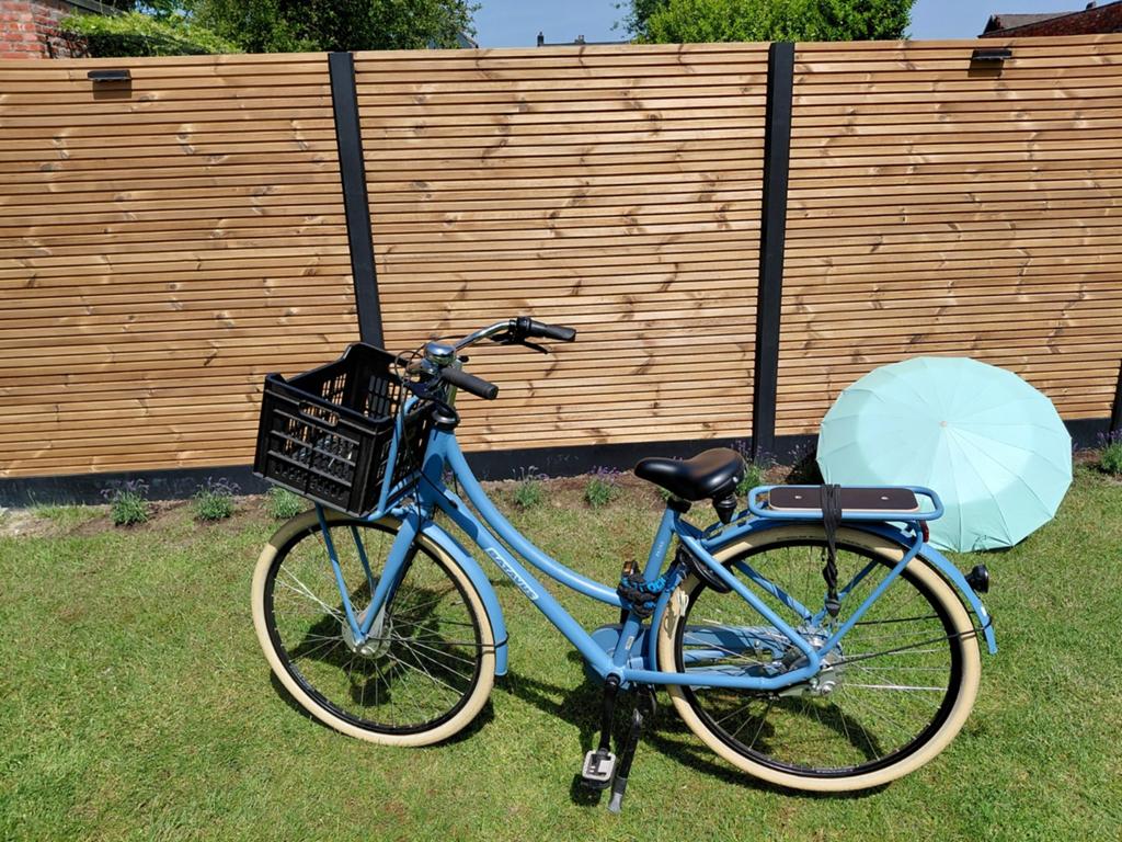 Mooie meisjes fiets batavius, Enlèvement, Vitesses