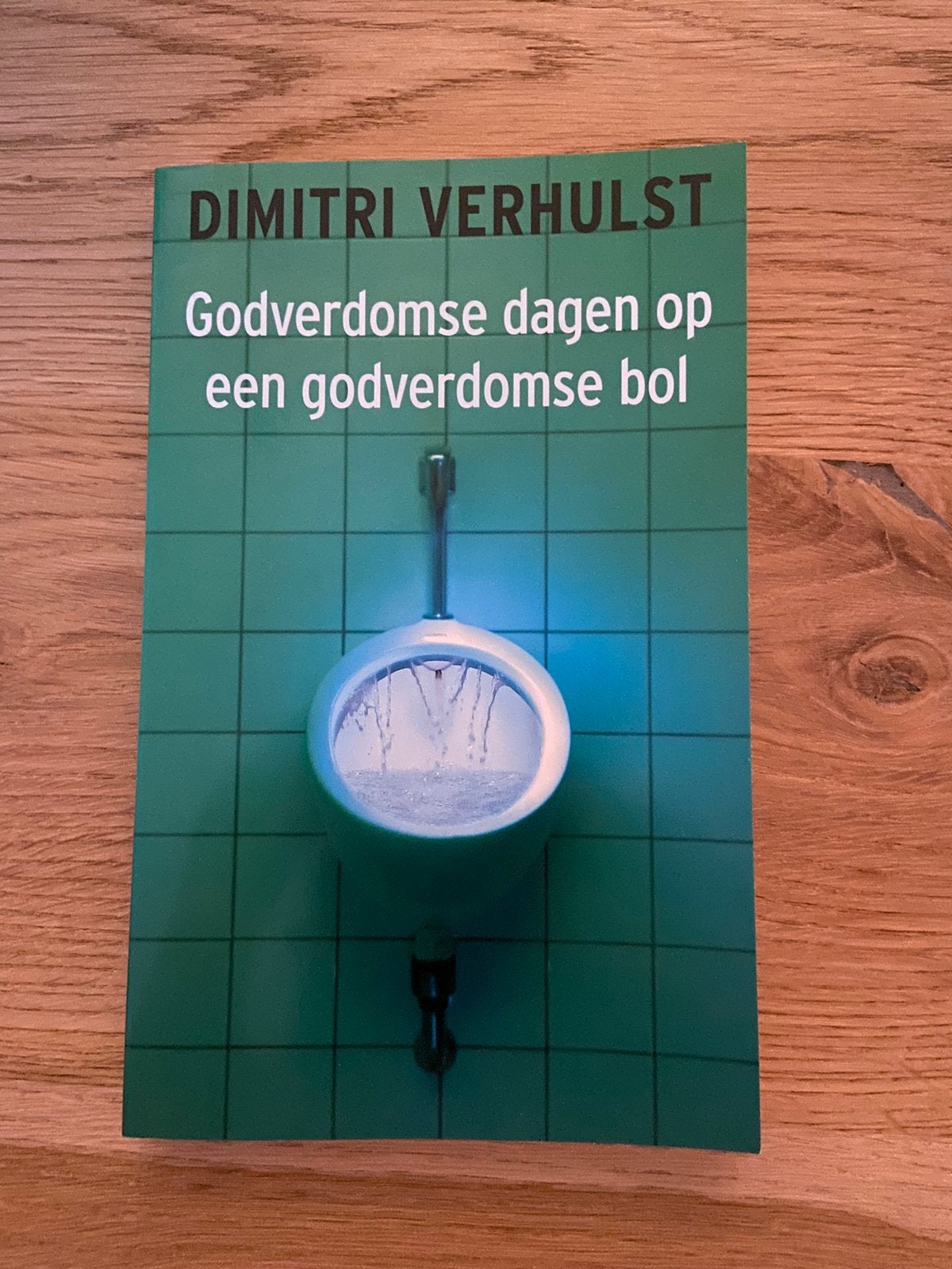 Dimitri Verhulst - Godverdomse dagen op een godverdomse bol, Boeken, Ophalen, Zo goed als nieuw