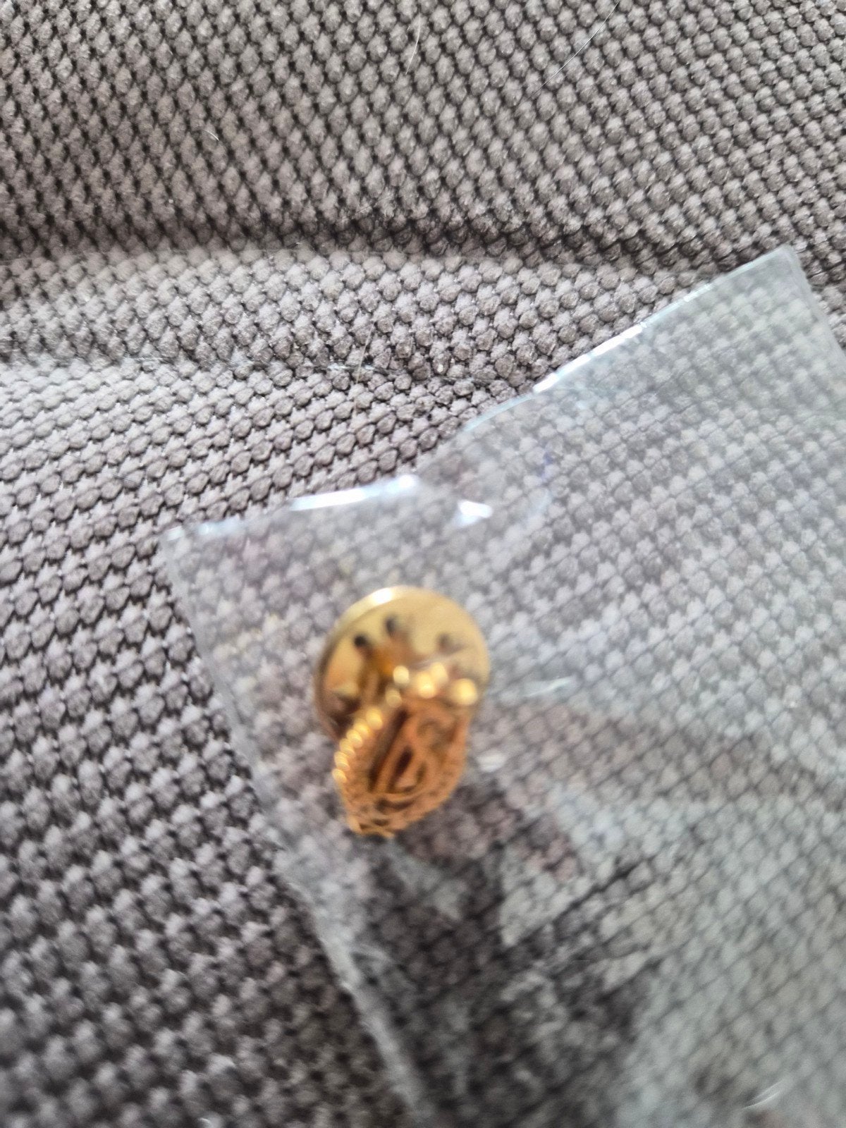 Pin’s Standard de Liège doré, Enlèvement