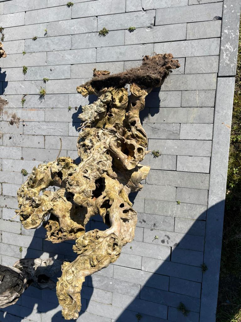 Decoratief wortelhout, Ophalen, Gebruikt, Hout, Overige typen
