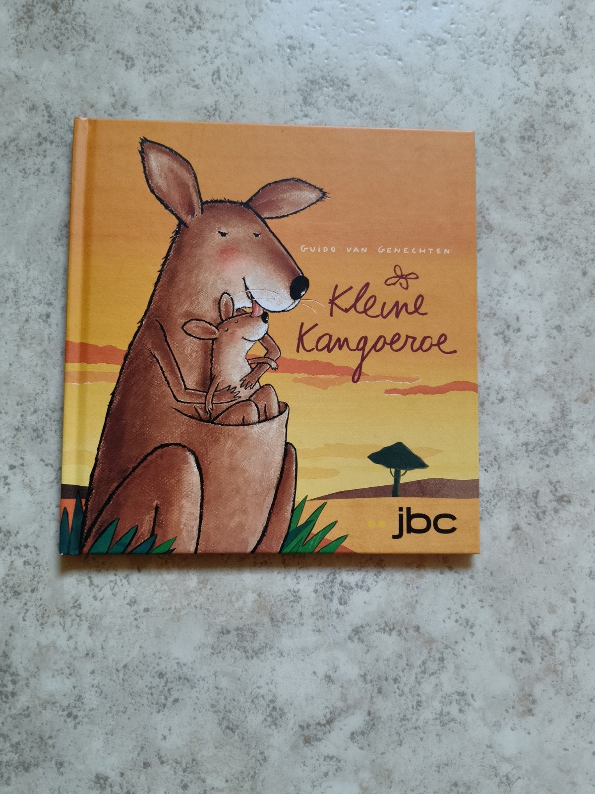 kleuterboek kleine kangoeroe, Enlèvement