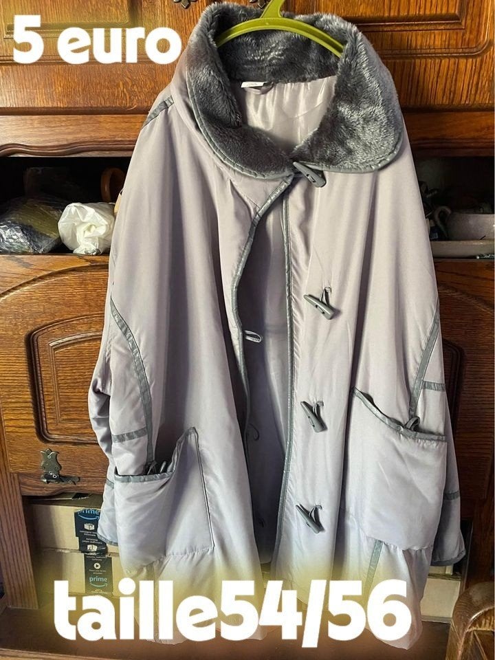 manteau XXL ou costume 42ou echappe ou chapeau  5 euro piece, Enlèvement, Porté, Taille 46/48 (XL) ou plus grande, Multicolore
