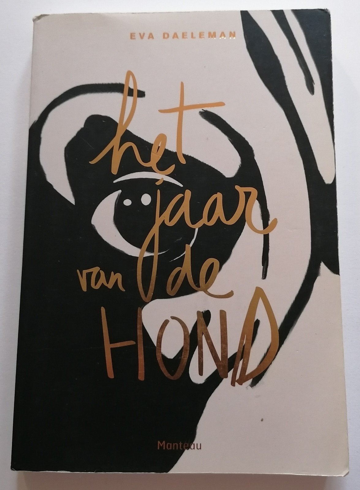 Eva Daeleman - L'année du chien, Enlèvement ou Envoi, Eva Daeleman