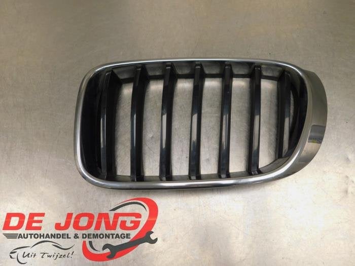 Calandre d'un BMW X3, -, 3 mois de garantie, Utilisé, -