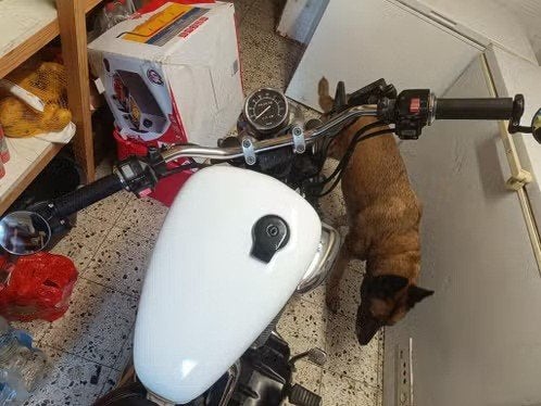 yamaha virago 535, Motos, Permis Moto A, Occasion, Chopper, 2 cylindres