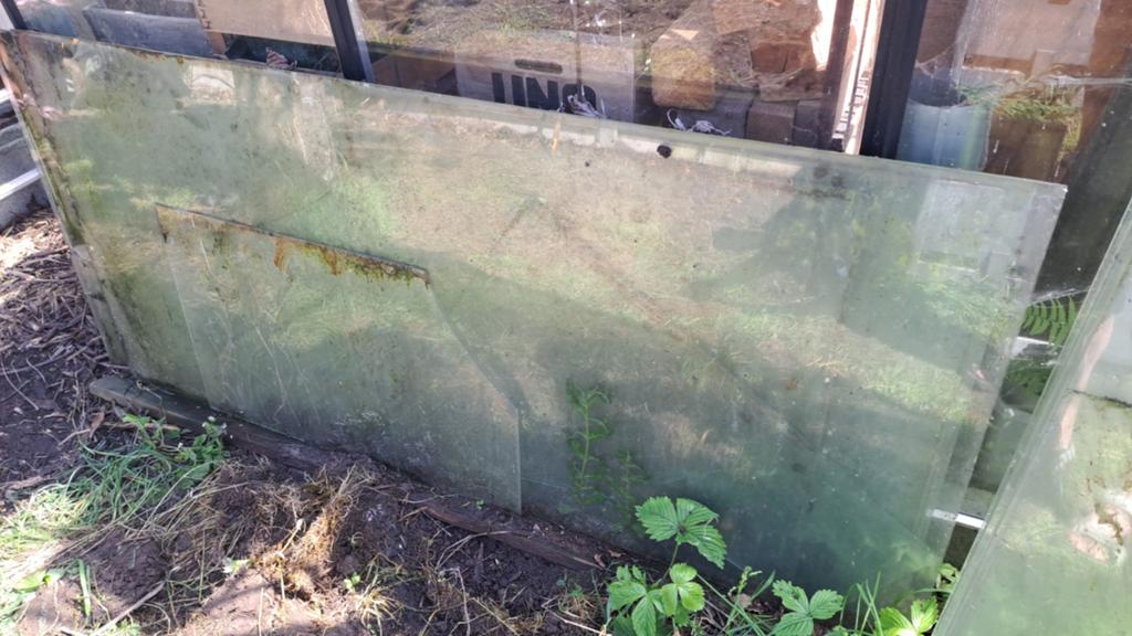 Gratis serreglas, Tuin en Terras, Bielzen en Borduren, Ophalen
