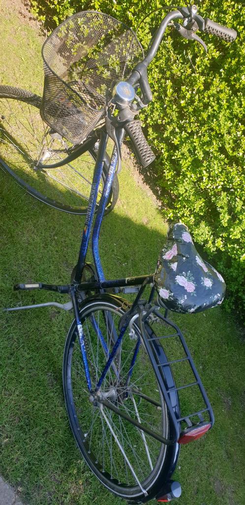 Venturelli fiets, Enlèvement