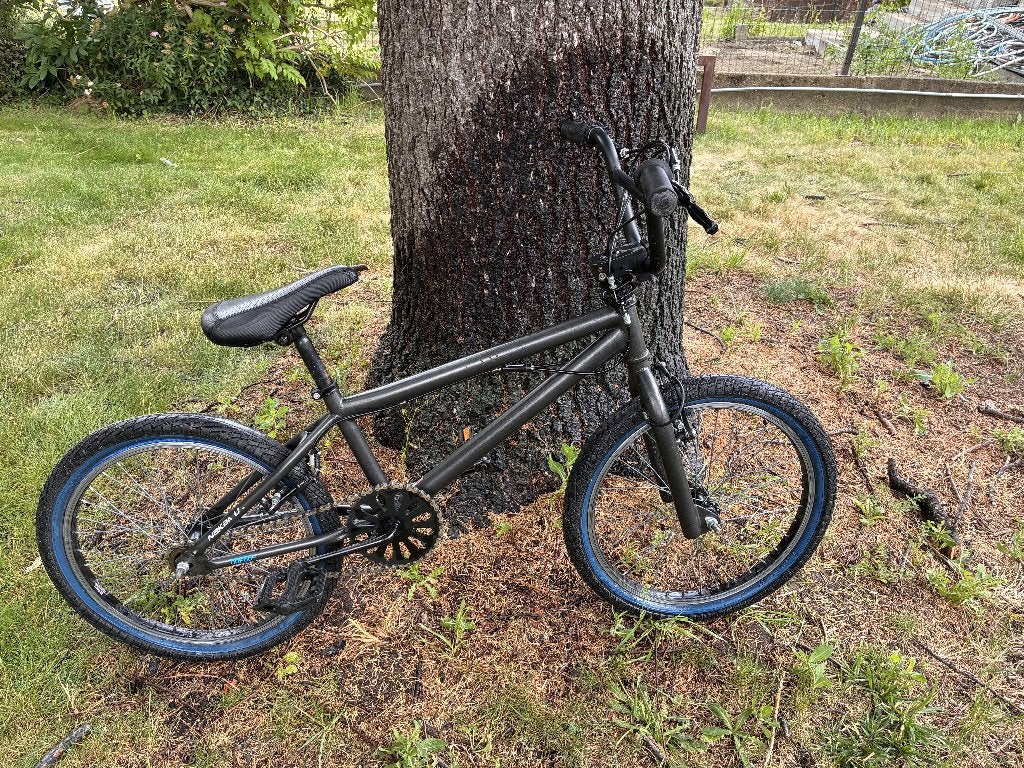 BMX Nakamura 20" Freestyle, 24 pouces ou plus, Acier, Enlèvement, Utilisé