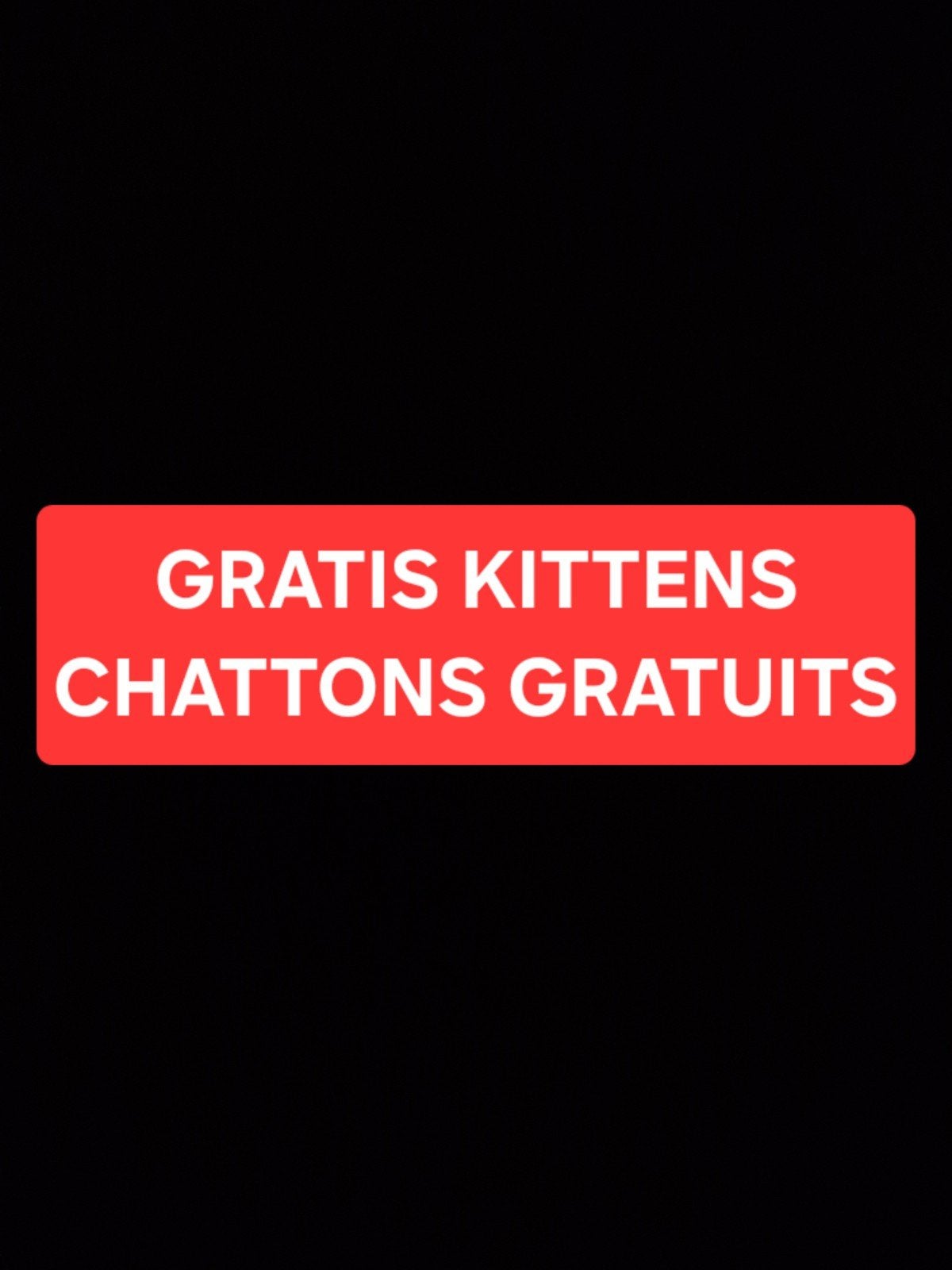 Gratis kittens, stuur een privébericht voor foto's, Ophalen, Nieuw