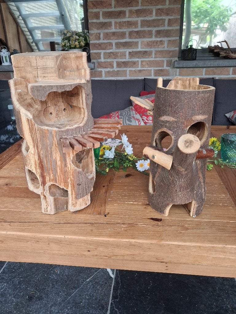 klimboom gerbils, Dieren en Toebehoren, Mei