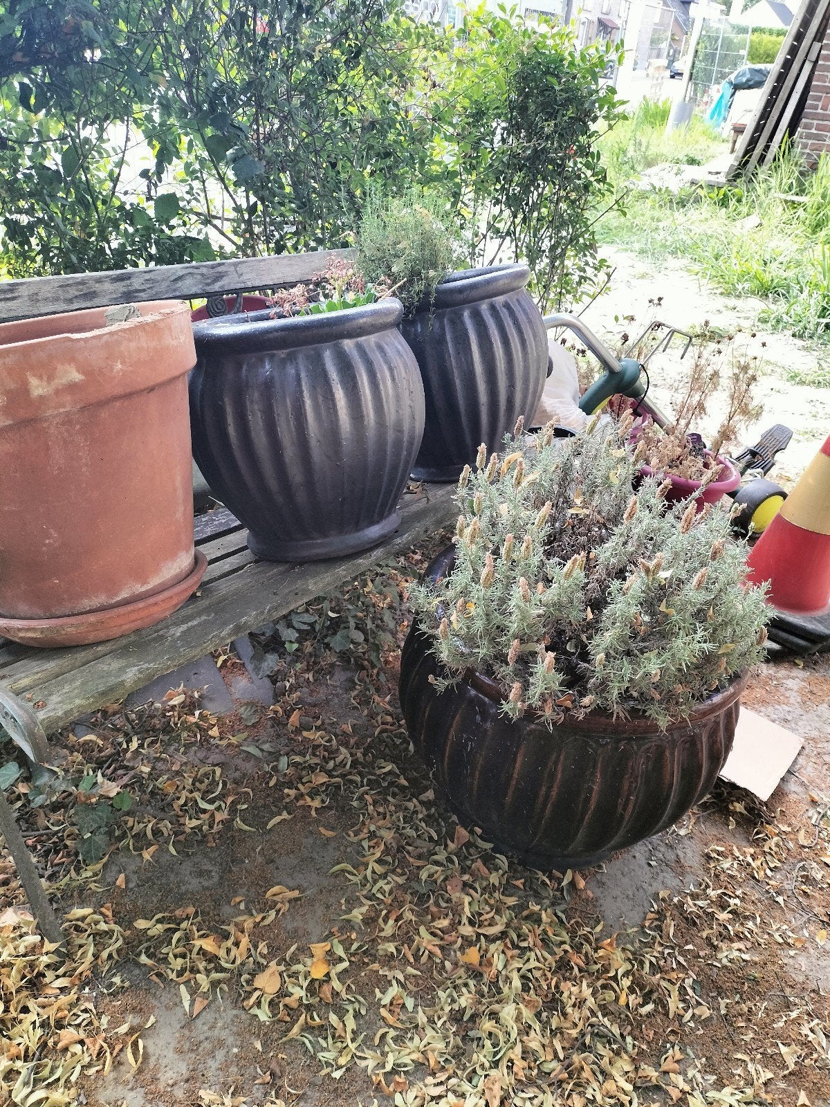 geglazuurde grote bloempotten, Ophalen