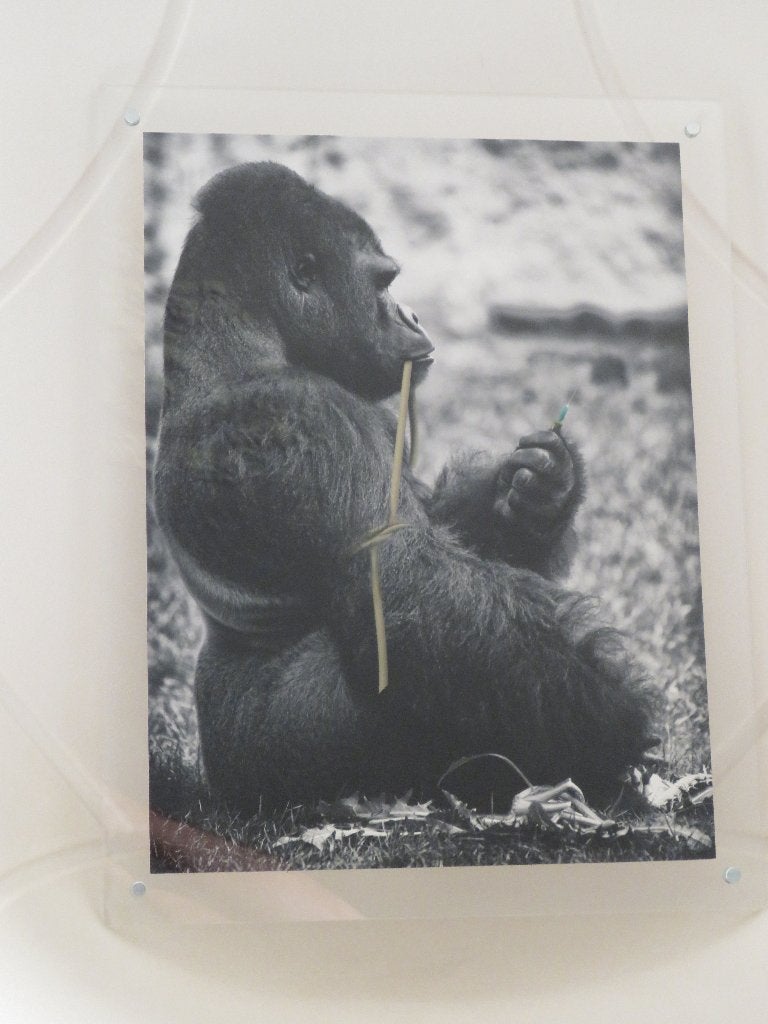Giclee Small Fry n'importe quoi pour oublier la réalité 4/40, Antiquités & Art, Numéroté, Enlèvement ou Envoi, Giclée