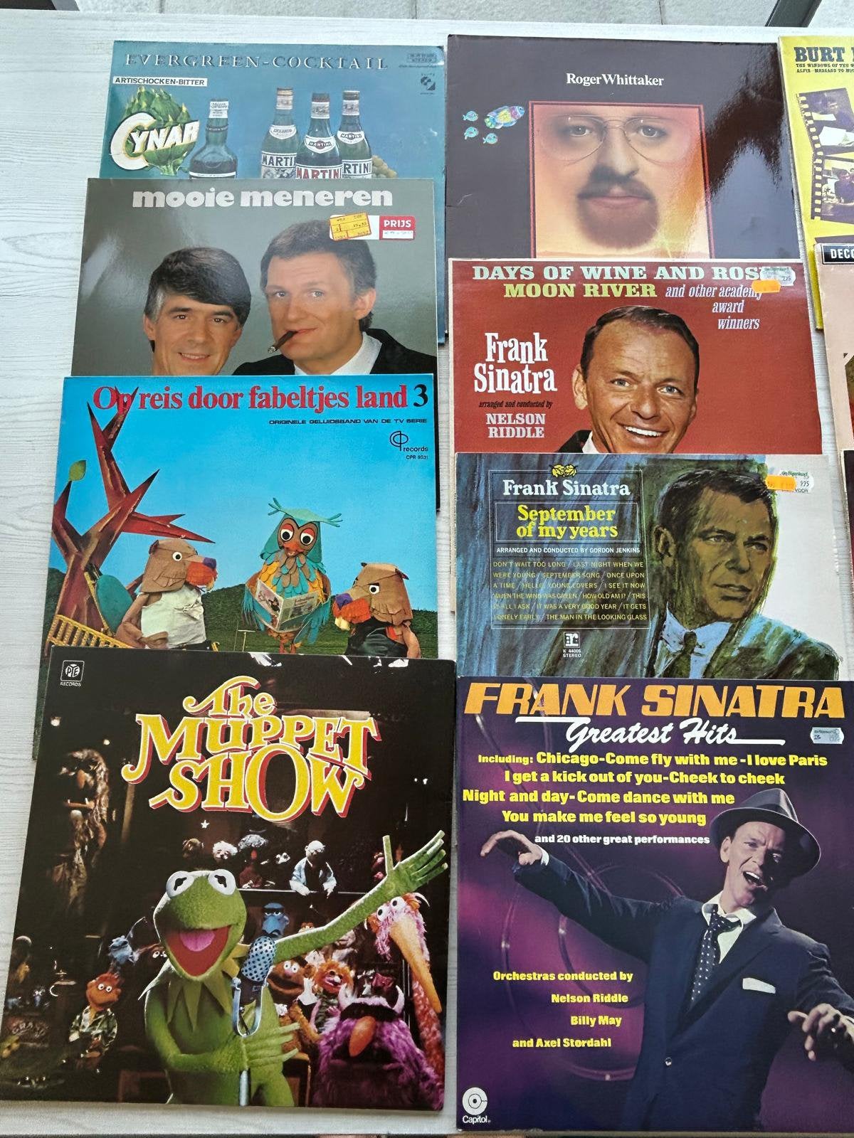 Diverse Platen +/-250, CD & DVD, Vinyles | Musique du monde, Utilisé, LP, Enlèvement