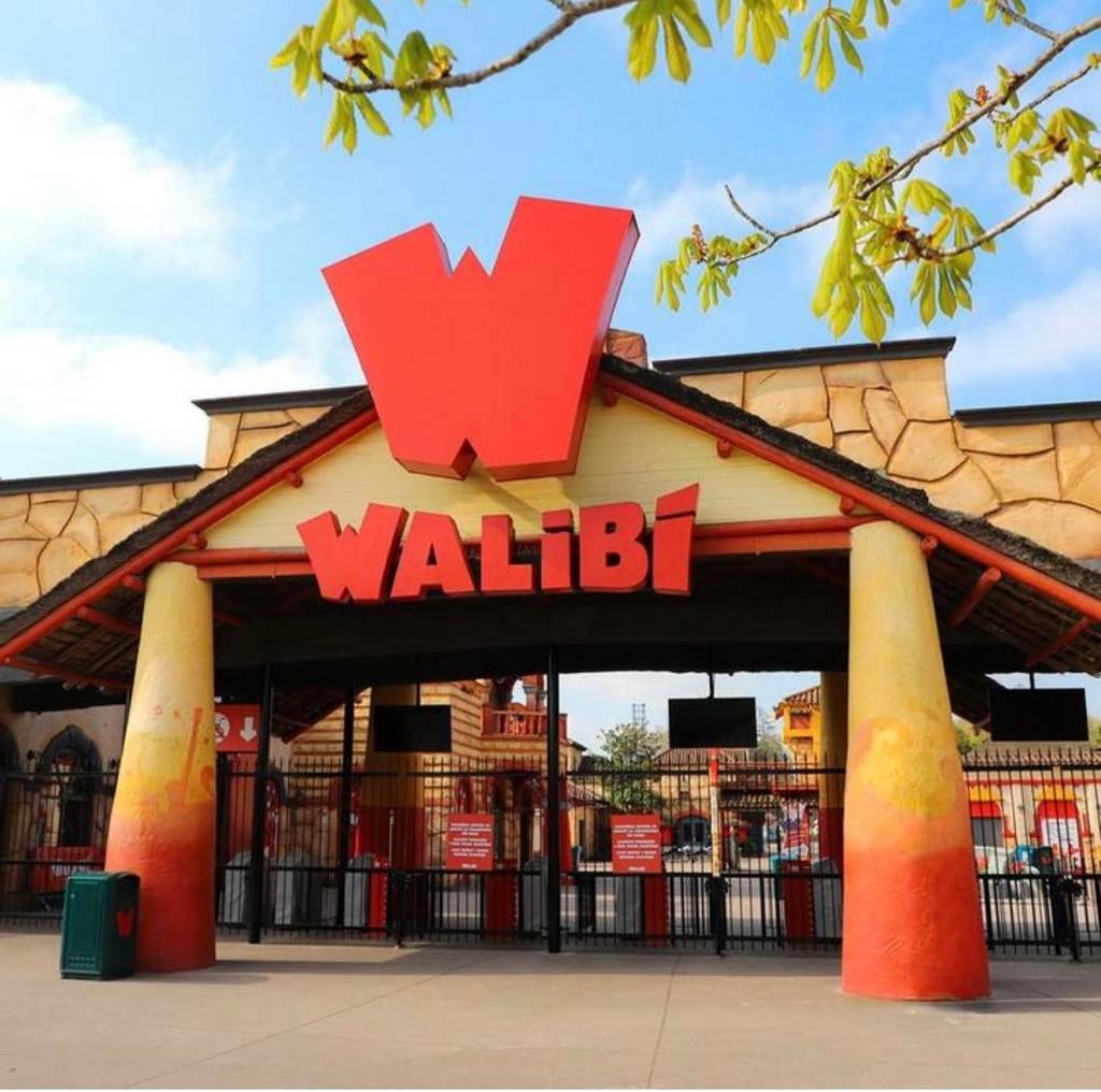 5 Ticket walibi entrée date le 16/05/2026, Tickets & Billets