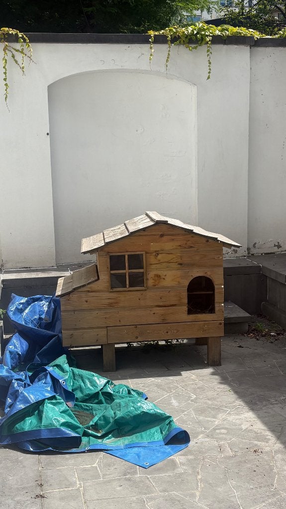 Kippenhok, 1malig gebruikt, Plusieurs animaux, Poule ou poulet