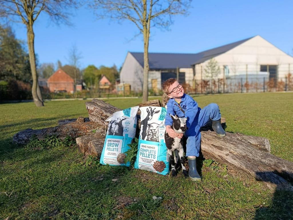 voeder voor schapen, geiten, alpaca's, ..