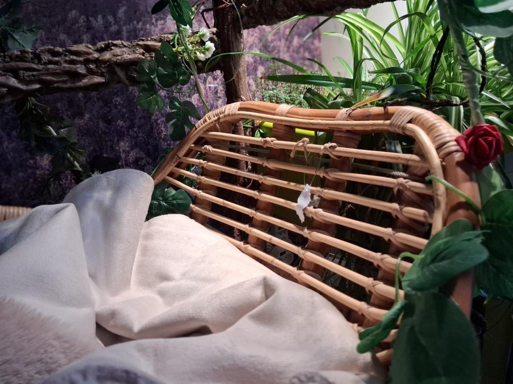 Sfeervolle rotan hangstoel met complete styling, Huis en Inrichting, Stoelen, Zo goed als nieuw, Eén, Riet of Rotan, Bruin, Ophalen