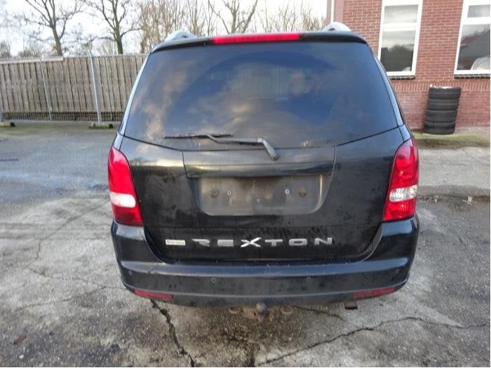 Crochet d'attelage d'un Ssang Yong Rexton, -, 3 mois de garantie, Utilisé, SsangYong