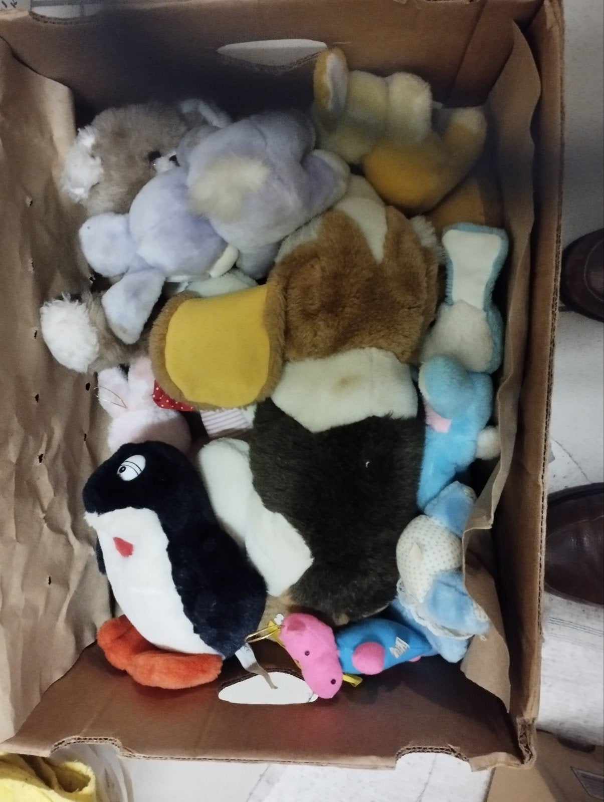 een massa knuffel dieren al verschillende soorten kleur vers, Dieren en Toebehoren, Ophalen