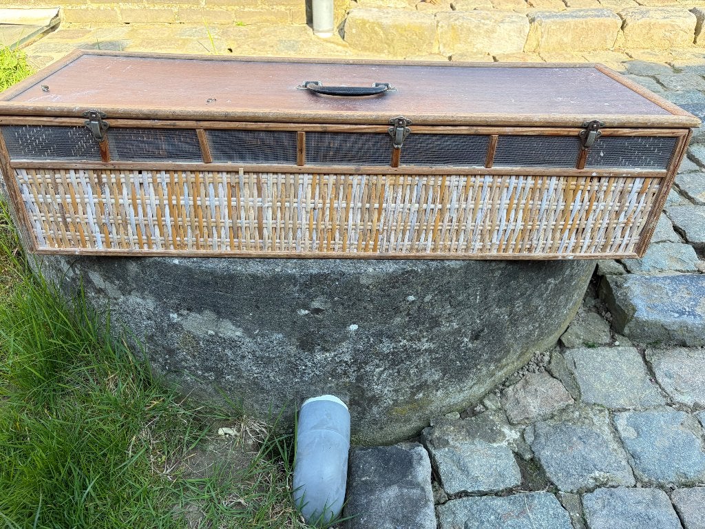 Duivenkorf