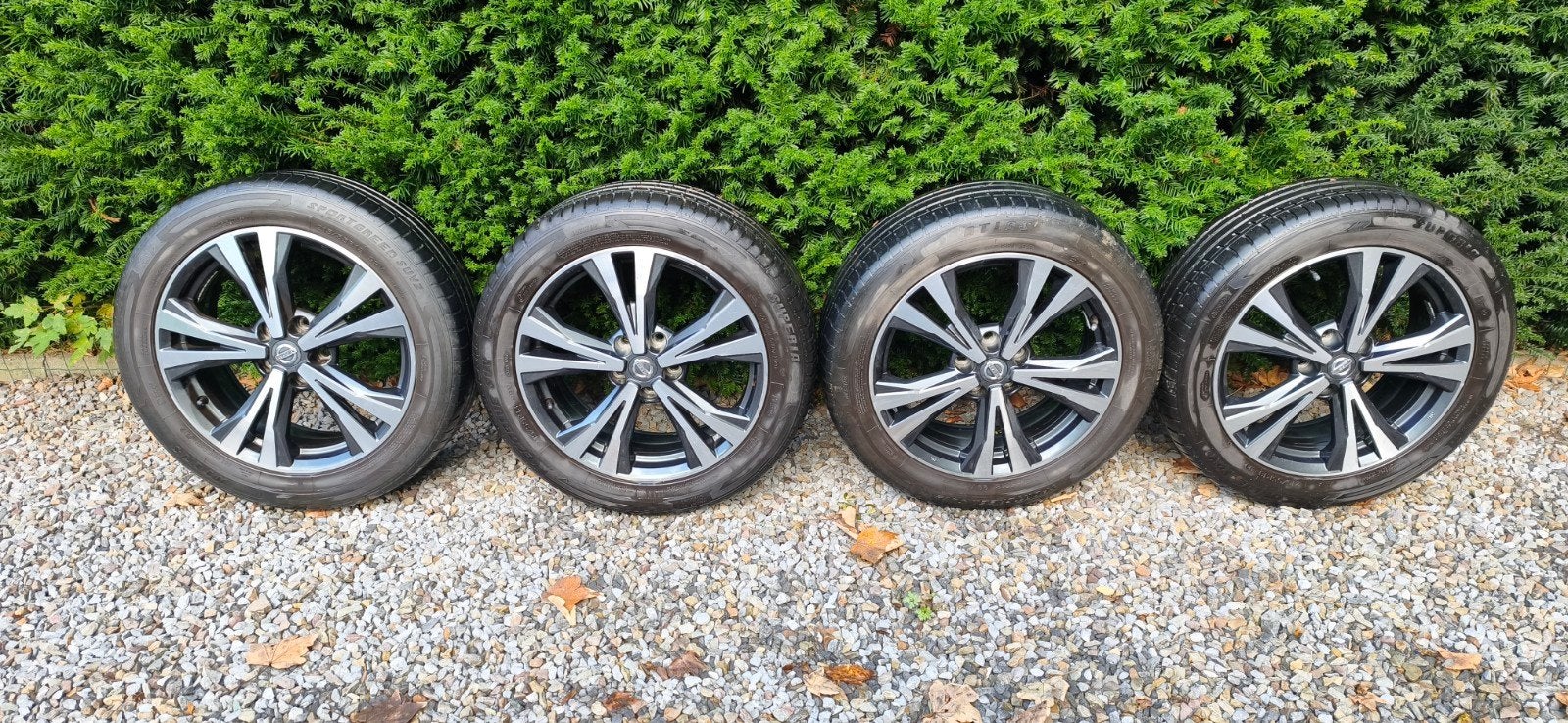 Jantes Nissan Qashqai 18", Enlèvement, Jante(s)