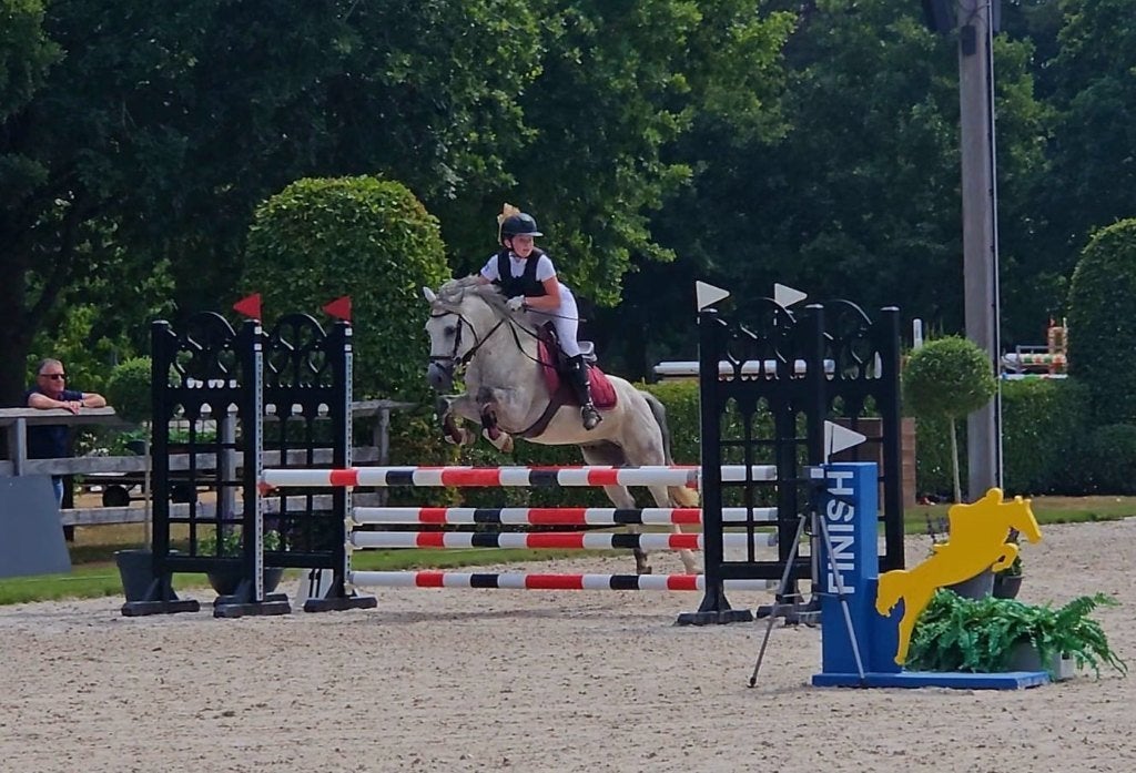 sport c pony, Dieren en Toebehoren, Gechipt, Ruin, Springpony, 11 jaar of ouder