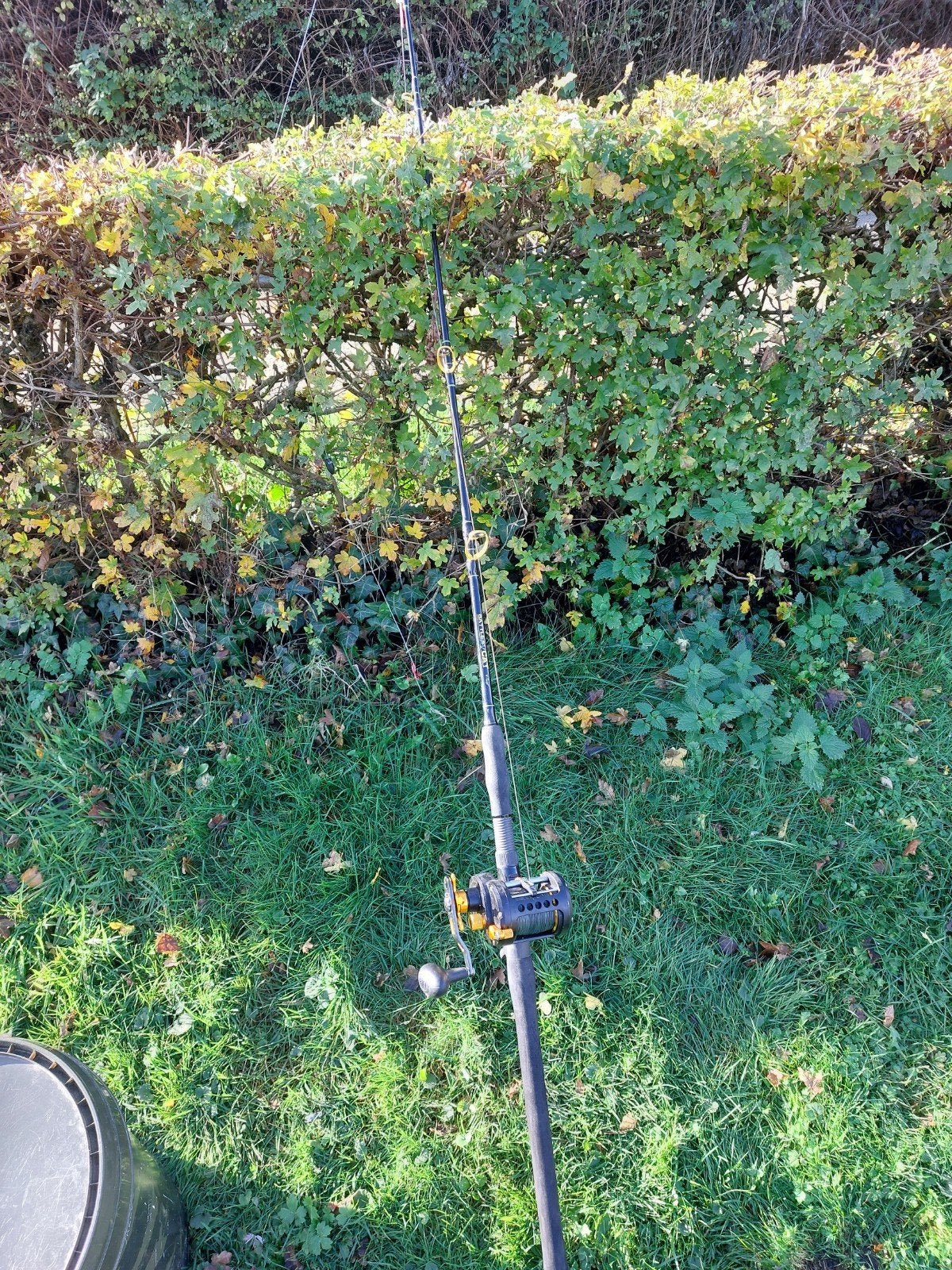 Pen reel met black cat v-stick, Enlèvement