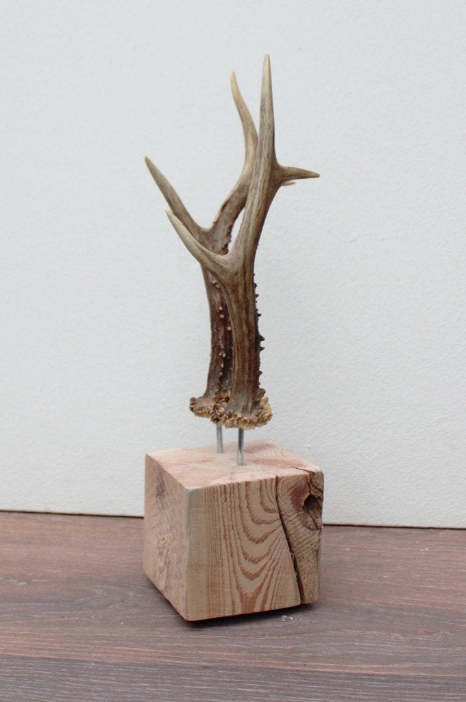 Zesender REE GEWEI paar op stevige houten sokkel (ref. 2), Collections, Collections Animaux, Enlèvement ou Envoi, Neuf, Cerf, Bois ou Tête