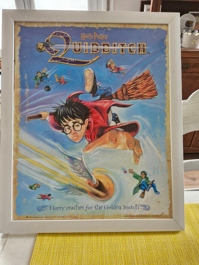 Kader met afbeelding van Harry Potter, Verzamelen, Ophalen