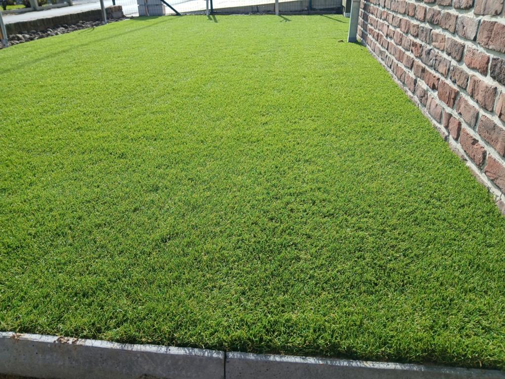 Kunstgras 60m2, Tuin en Terras, Gras en Kunstgras, Ophalen, Kunstgras
