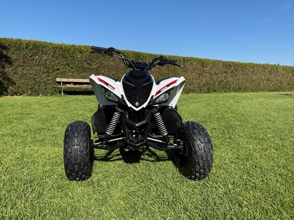 Raptor 90, Motoren, 90 cc, 11 kW of minder, 1 cilinder