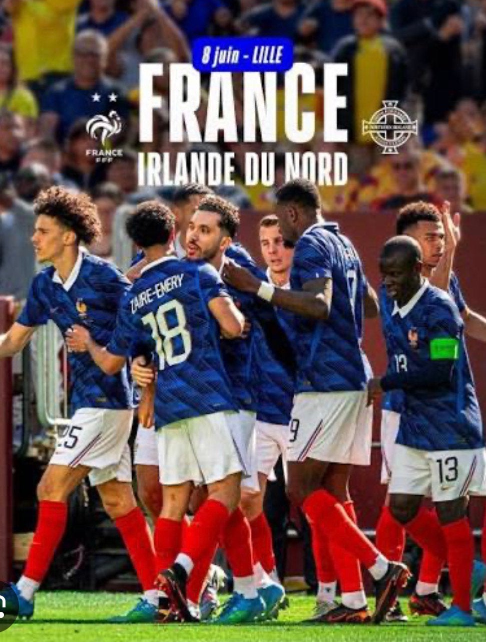 5 places cote a cote pour le Match France le 08 Juin a Lille, Tickets & Billets, Juin