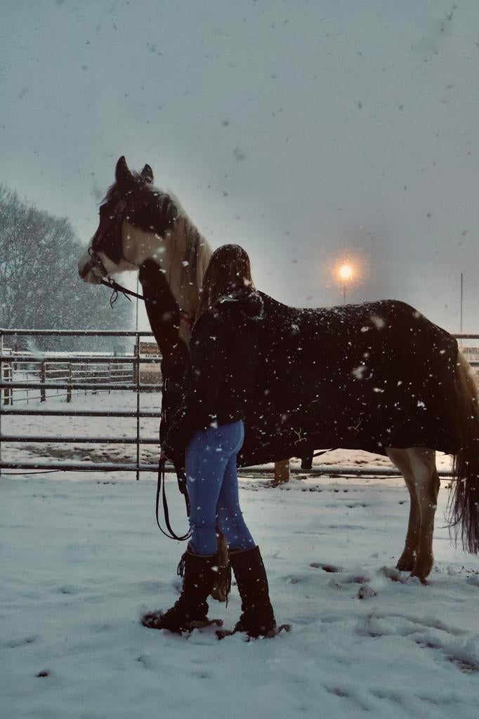 Zadelmak maken/door rijden horsemanship, Tickets en Kaartjes, Recreatie | Dierentuinen