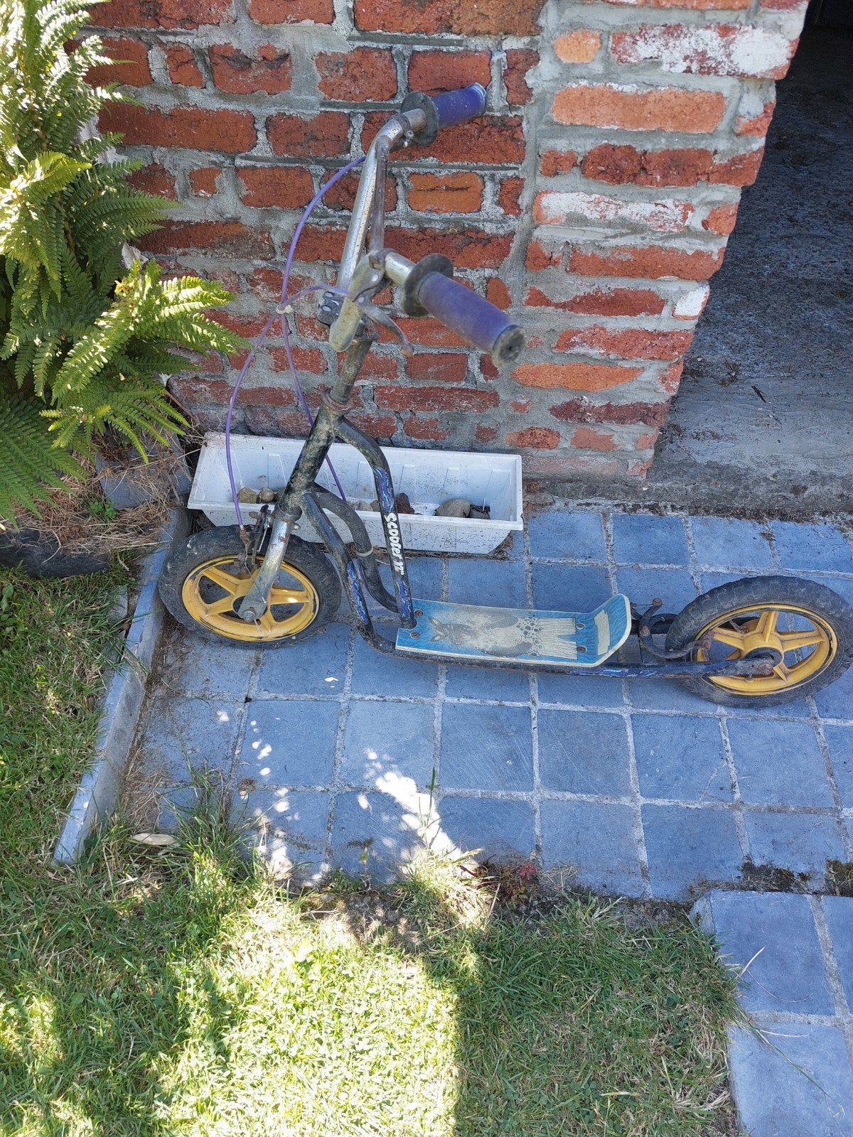 Trottinette, Enlèvement
